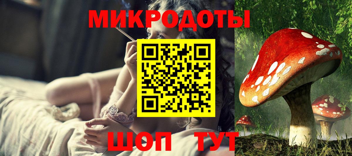 Галлюциногенные грибы GOLDEN TEACHER Северобайкальск