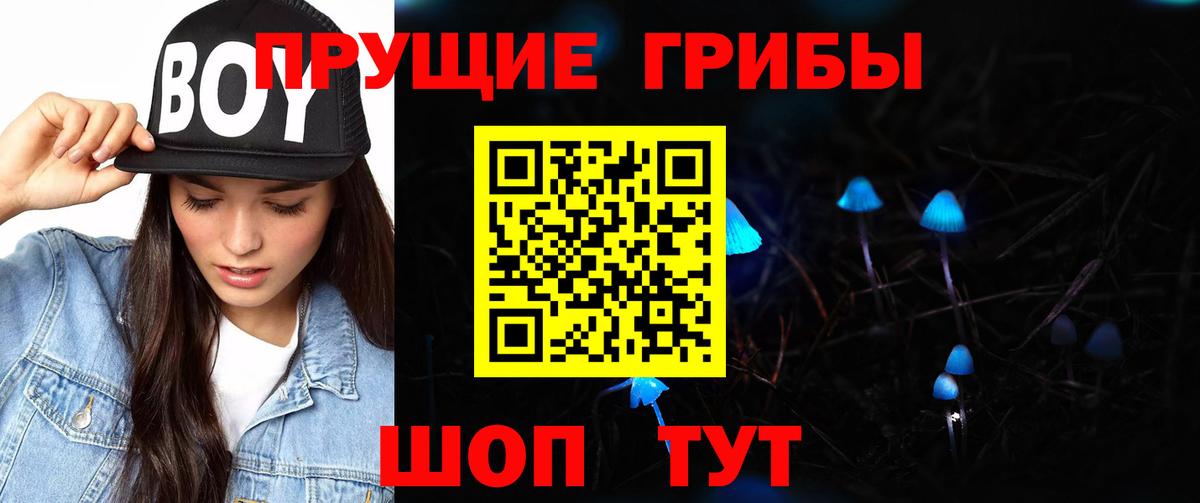 Галлюциногенные грибы мухоморы  Вход с VPN  Северобайкальск 